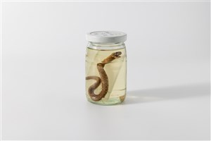 Image description is not available for 2016.1.1